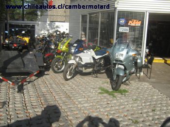 Camber Motard